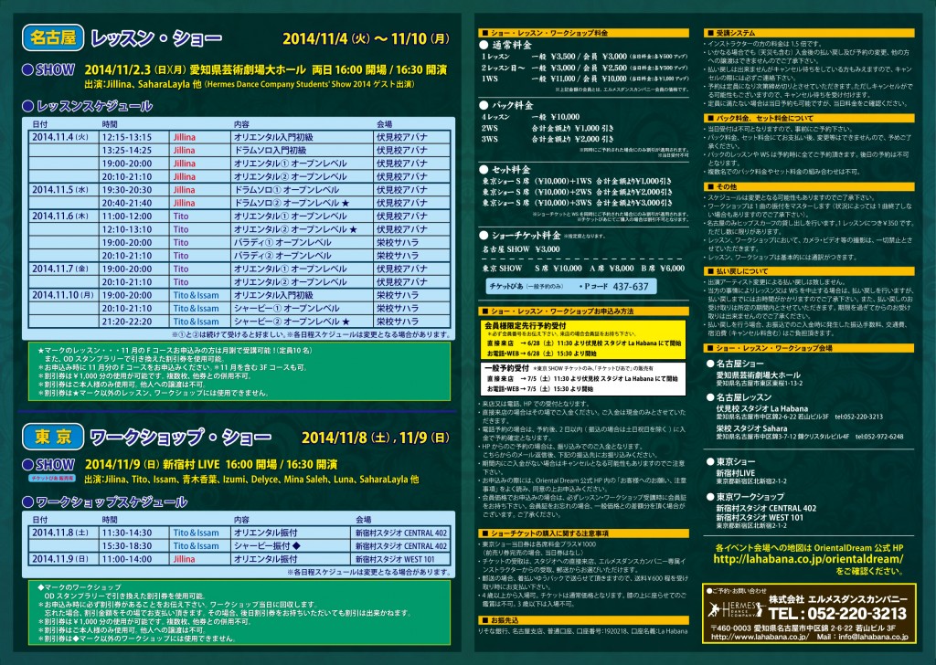 201411ODV8チラシP2.3_v6WEB